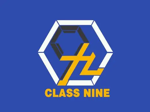 巴蜀中学高2019届9班班旗