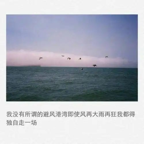 我生性孤独不必深拥伤感带字图片