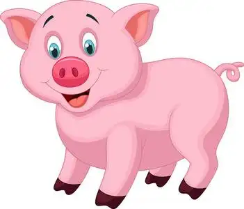 可爱的小猪卡通照片
