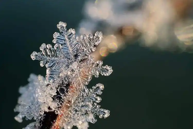最美下雪天,这样拍才最美!