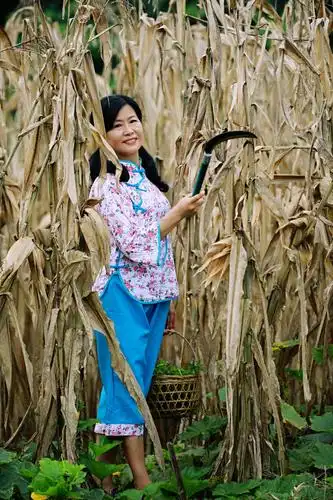 村里有个姑娘叫小芳(四川/乐山)