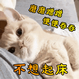 情侣日常聊天表情包,实在太酸了,情侣都是这样的吗