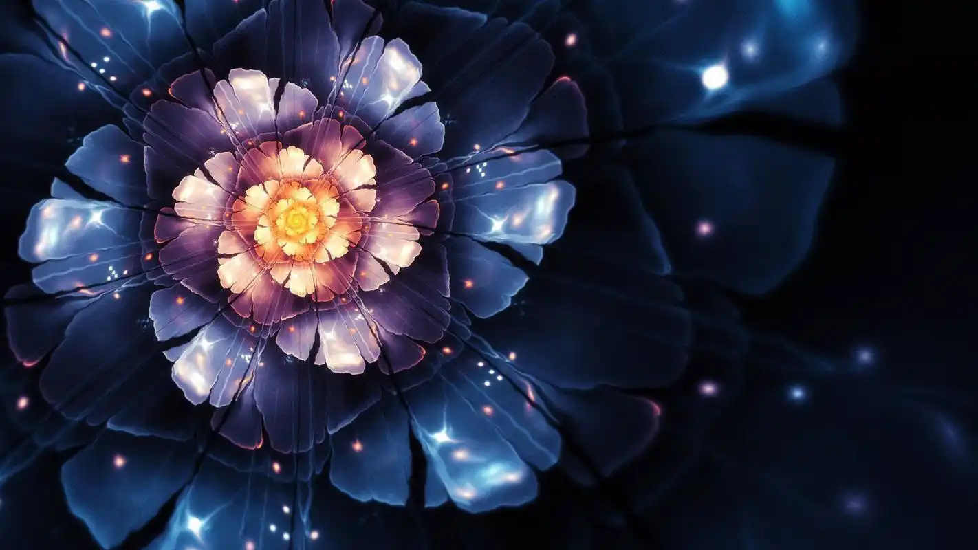 炫彩的鲜花宽屏桌面壁纸,这些花朵非常的美艳,粉红的花朵,唯美动人