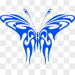 手绘蓝色蝴蝶生日卡片