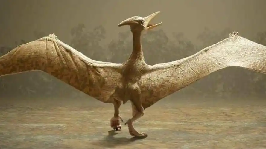 风神翼龙有多厉害?身高10米翅展12米,霸王龙只是它的食物之一