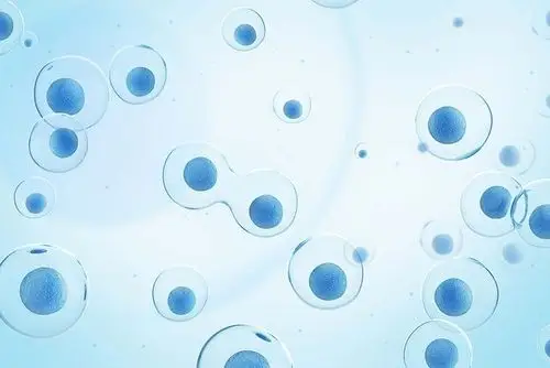 cell的图片搜索结果