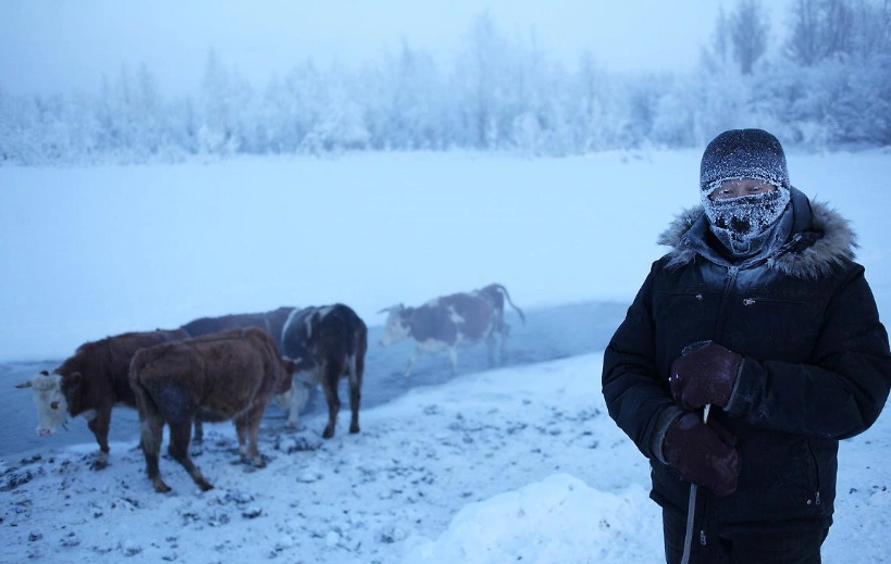 世界上最寒冷的村落:冬季比北极还寒冷,但仍有村民在此居住_西伯利亚