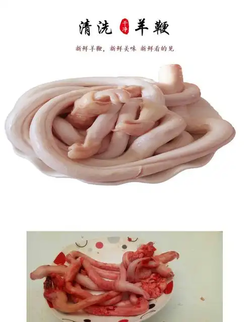 羊鞭新鲜黑山羊鞭5g羊蛋羊宝羊生殖器