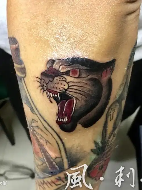 美式豹头_纹身图案手稿图片_张尧的纹身作品集