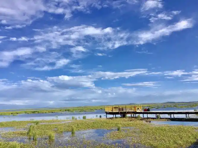 梦幻甘南,花湖湿地风景区!(副本)