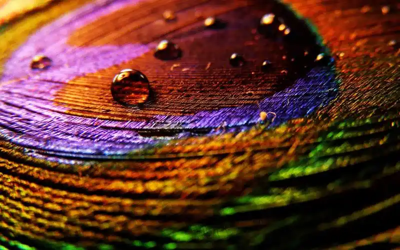 描述: 七彩布-抽象高清壁纸 当前壁纸尺寸: 2560 x 1600