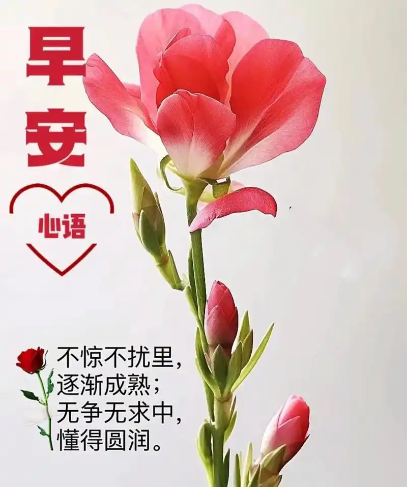 早安阳光  #愿晨起的阳光伴随你愉悦的每一天 78159998 - 抖