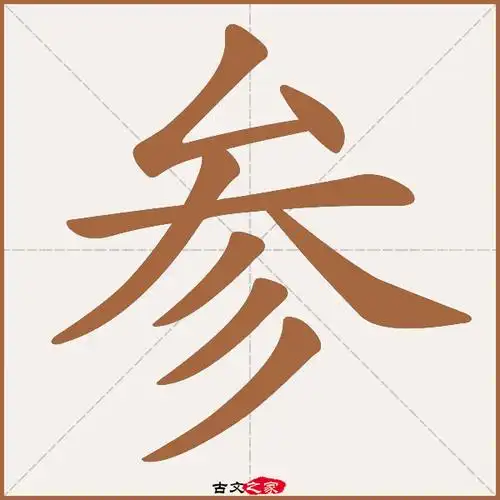 参的拼音怎么读