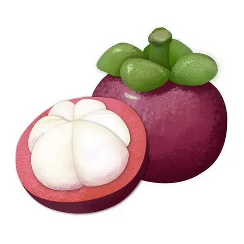 手绘风格切开的山竹热带水果图片免抠素材