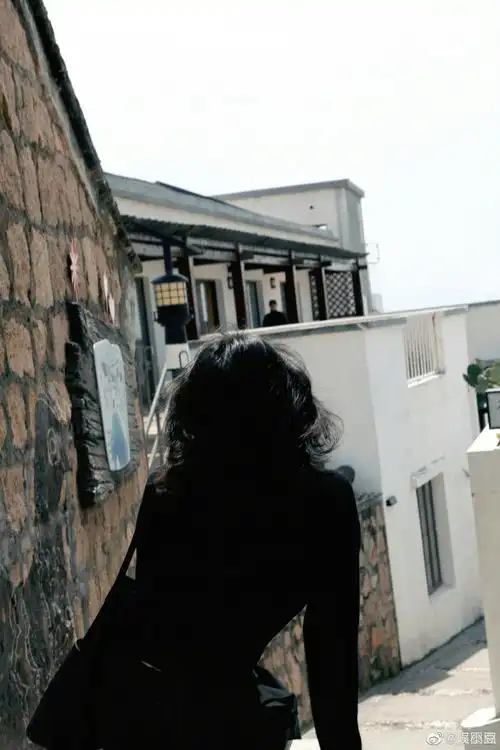 高圆圆回眸笑##高圆圆背影故事感