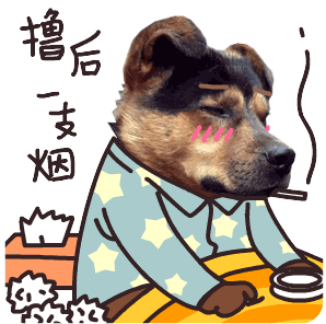 萌宠表情 萌娃表情 斗图表情 锦鲤 土味语录 套路图 来自:soogif 应用