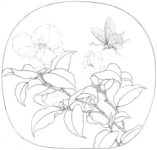 《临宋山茶蝴蝶图》绘制步骤.