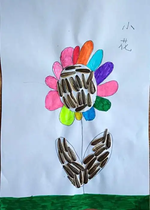 瓜子皮的美丽与归宿