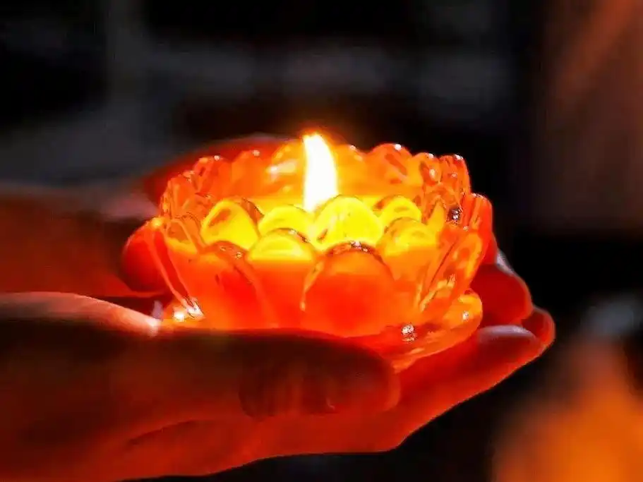 今日清明,寄一份思念,让天堂的亲人不再孤冷