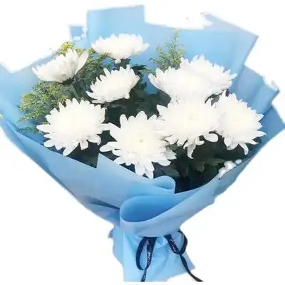 清明节白菊花菊花祭奠哀悼悼念郑州济南西安丧礼追悼丧葬用花鲜花速递