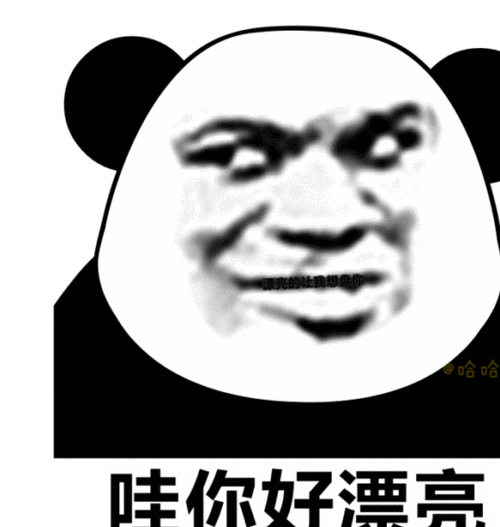 斗图必备表情包#表情包藏字#熊猫头表情包藏字!