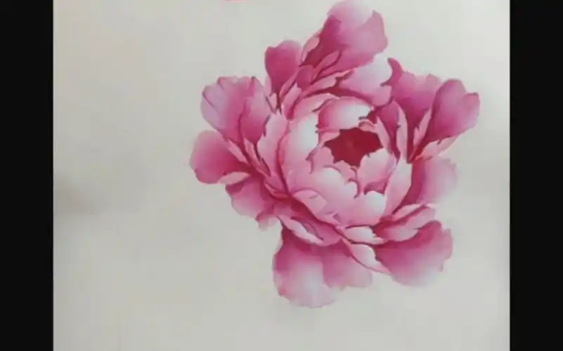 国画牡丹 牡丹花头的画法教程