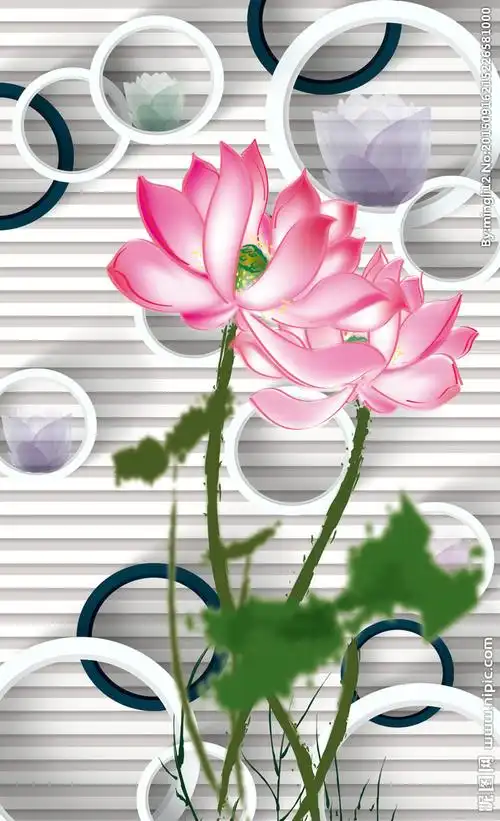 3d玄关荷花图片