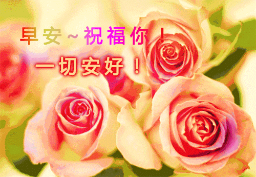 微信早晨问候朋友的动态漂亮图片新的一天祝福暖心语句