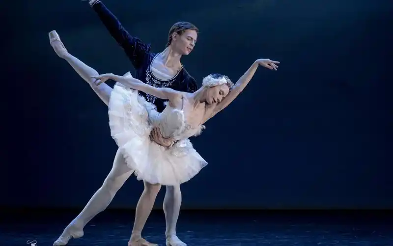 【高清芭蕾】【白天鹅双人舞】 liudmilla konovalova & vladimir