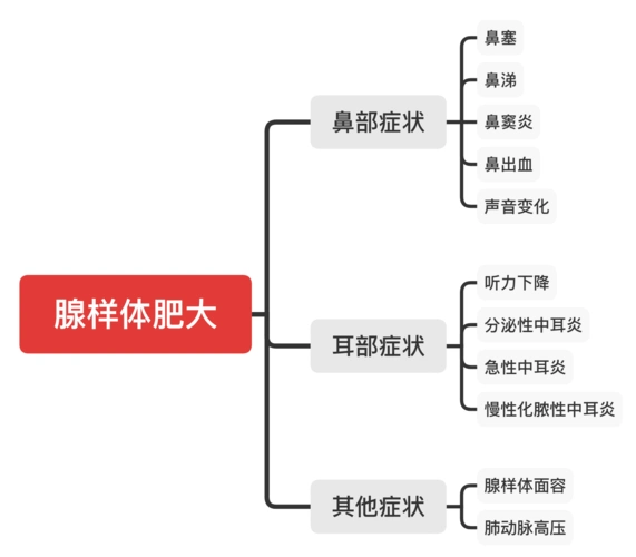 腺样体的前世今生