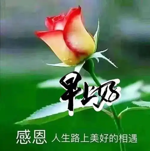 早上好问候语幽默温馨句子 早上好动态图片问候语表情 早上好祝福语