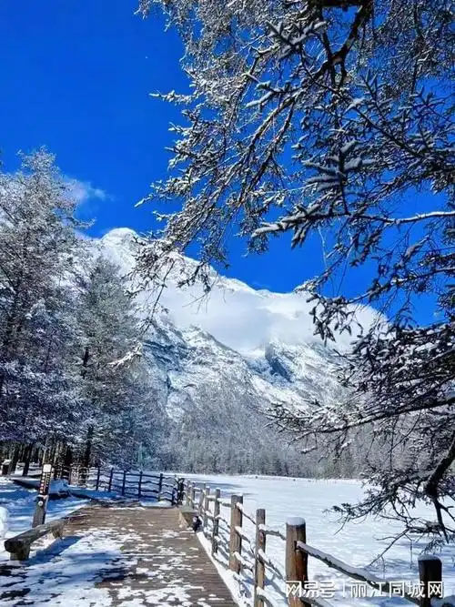 独家福利在玉龙雪山感受童话般的冬日雪景