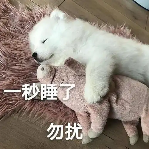 一秒睡了,勿扰.