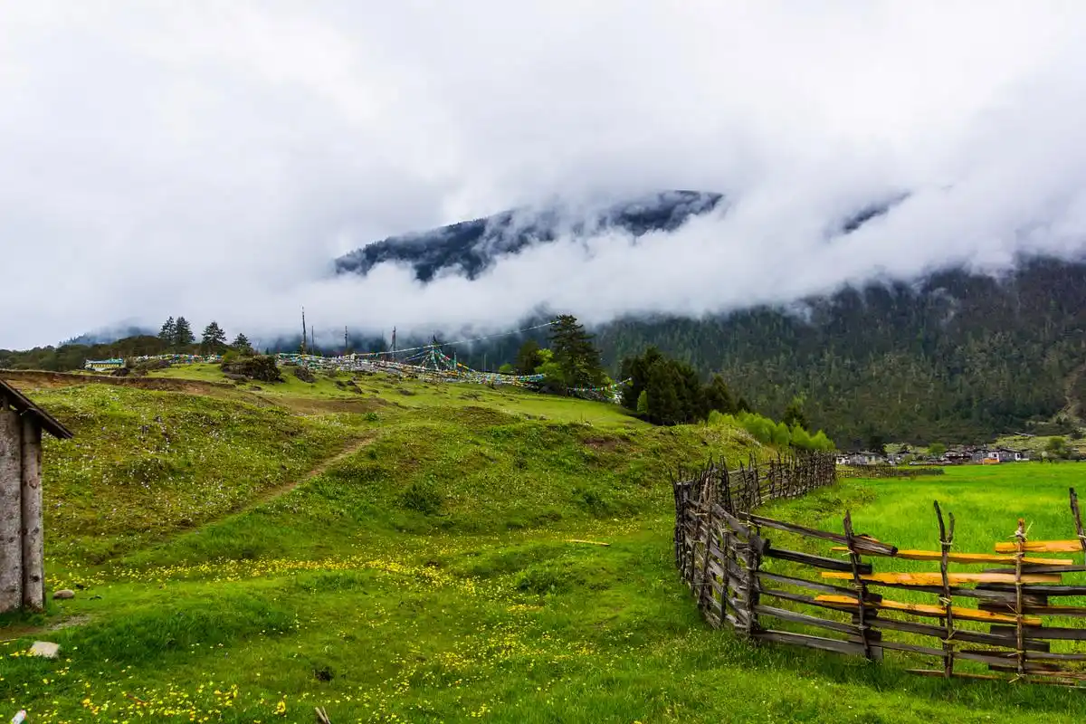 鲁朗林海是西藏林芝地区的一处自然风景区,被誉为"雪域瑞士"和"西藏