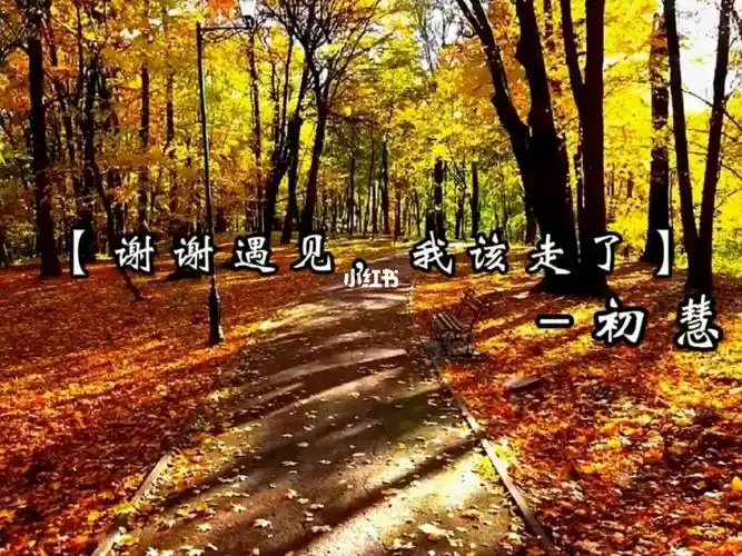 谢谢遇见我该走了