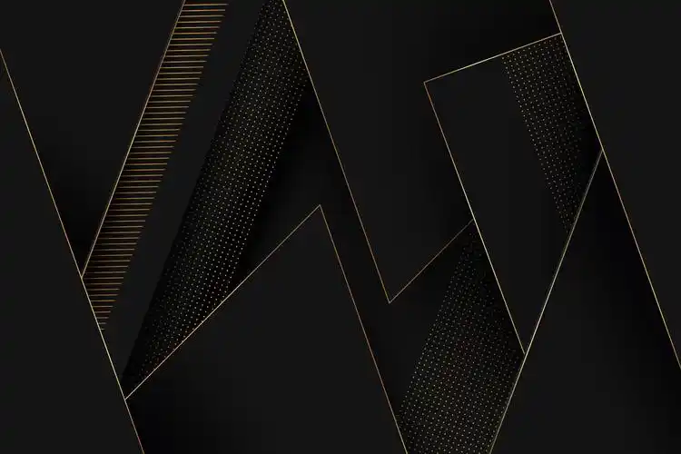 有金色细节的黑金背景矢量图