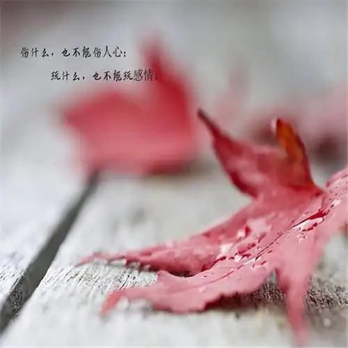 1,心疼自己的图片:心寒图片——衣服破了可以缝 心碎了只有疼自己受