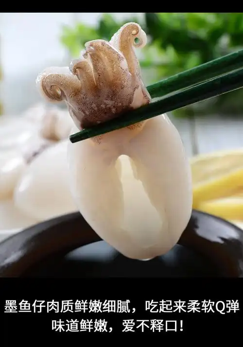 新鲜墨鱼仔去皮去内脏鲜活冷冻海鲜火锅食材彼尔安佳6斤装小号每斤