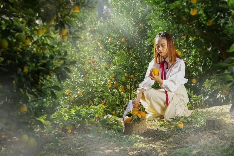 《甜甜果.美美心》果园清新人像拍摄