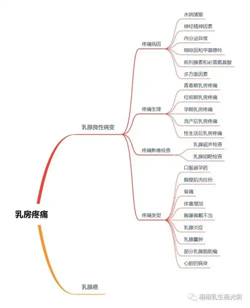 大部分女性乳房疼痛是乳腺增生引起来的,而乳腺增生不是病,是正常生理