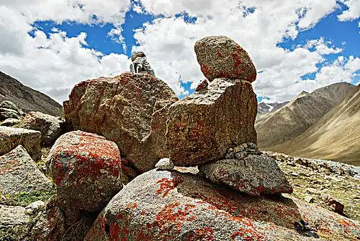 山上大石头图片_山上大石头图片大全_山上大石头背景图片