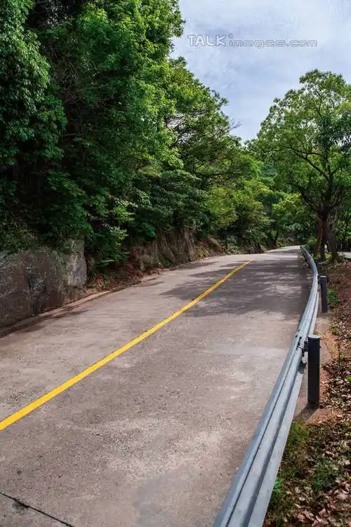 正面,旅游,度假,美景,树林,植物,道路,路,公路,中国,亚洲,阴影,曲折