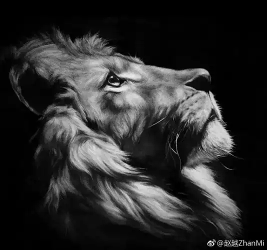 逼真精美的狮子头像素描图片 狮子手绘教程画法 孤独的王者