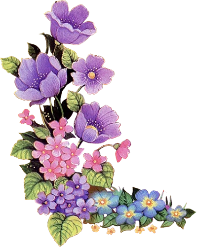 【ps免抠素材】※※※※史上最全的花类png透明素材293p※※※※_ps吧