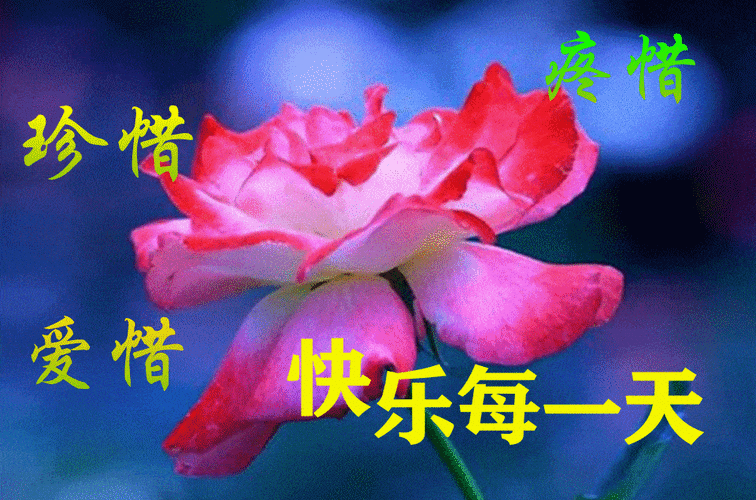 4月21日最漂亮早上好动态表情图片大全早晨好动图美图大全