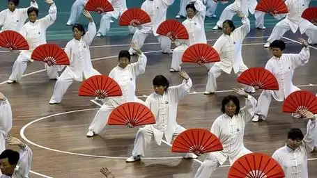 42式太极莲花扇如何实战对抗乱咬人的疯狗