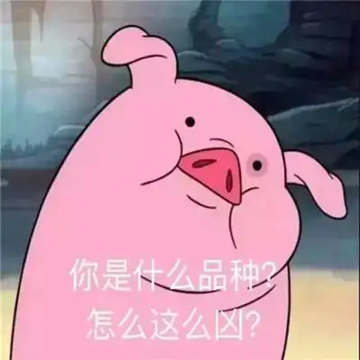 独一无二沙雕搞笑的逗比头像合集