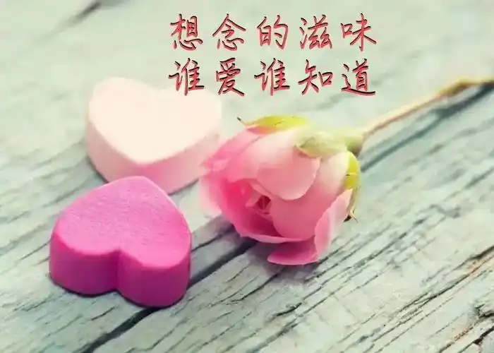 想念的味道很苦思念的疼无药可治想你痴心一人念一世情长