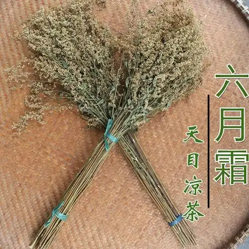 野生高山六月霜茶250g防中暑解暑花草农家纯天然清凉茶夏天饮用水