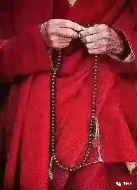 1 吸取教训说是有个小佬爹整天游手好闲,正事不干,年岁渐长,眼看一起